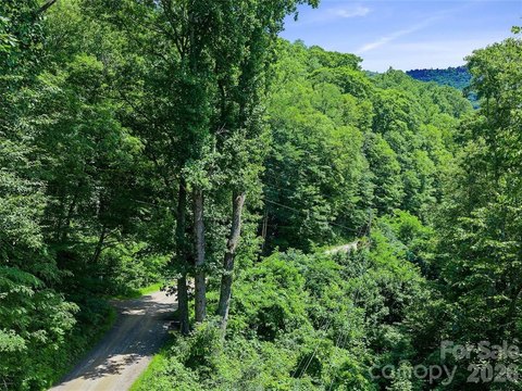 Wooded Mountain Home Lot