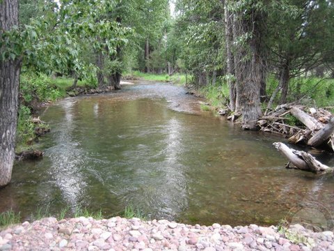 Seeley Lake Tap House Opportunity