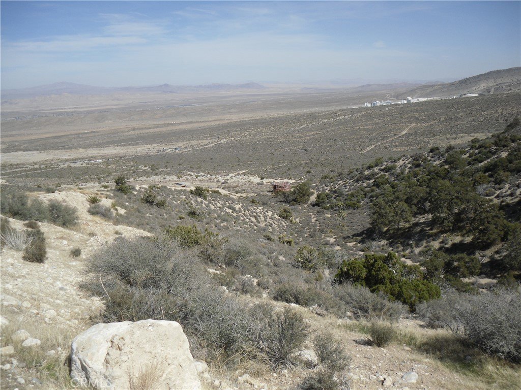Picture 8