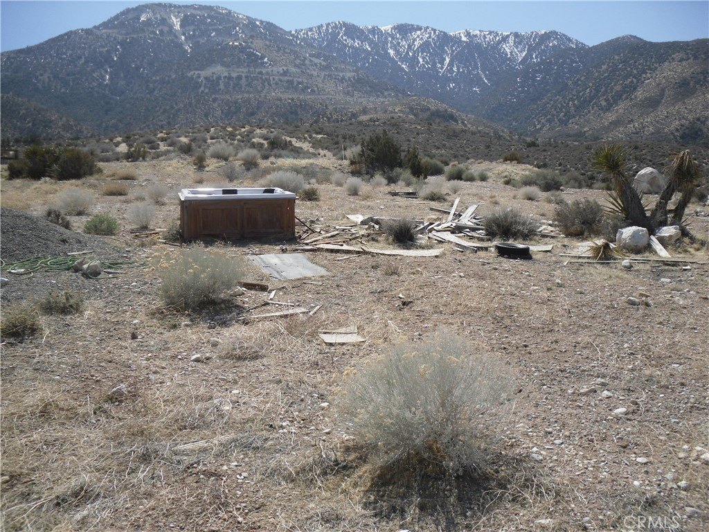 Picture 4