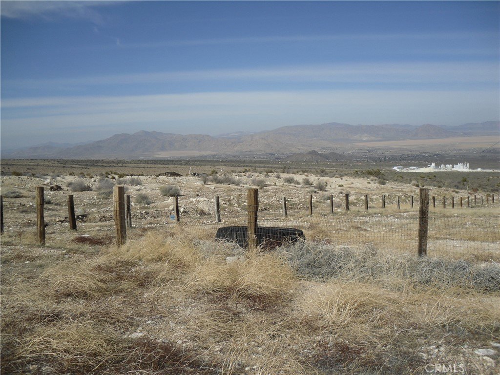 Picture 7