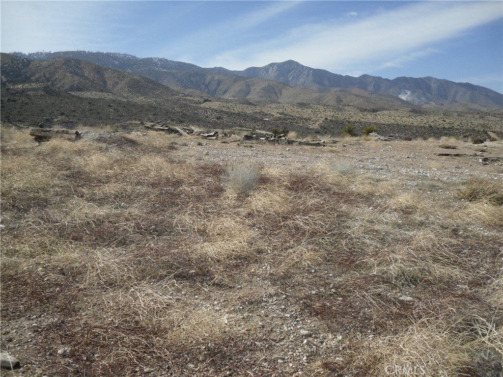Picture 2
