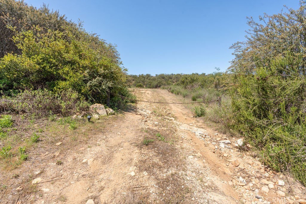 Picture 32