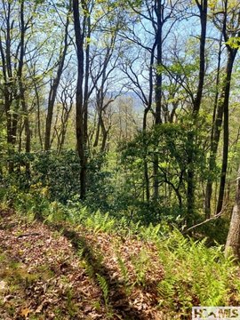 LAND - Scaly Mountain, NC