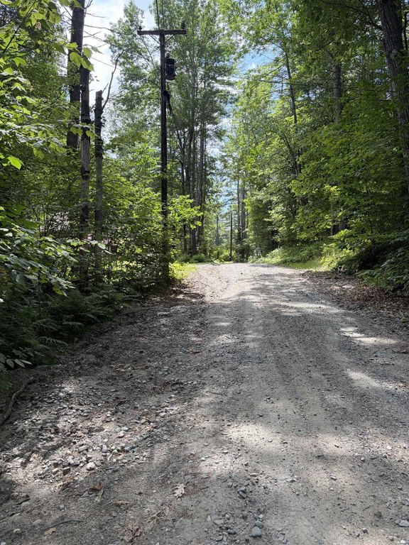 Picture 19