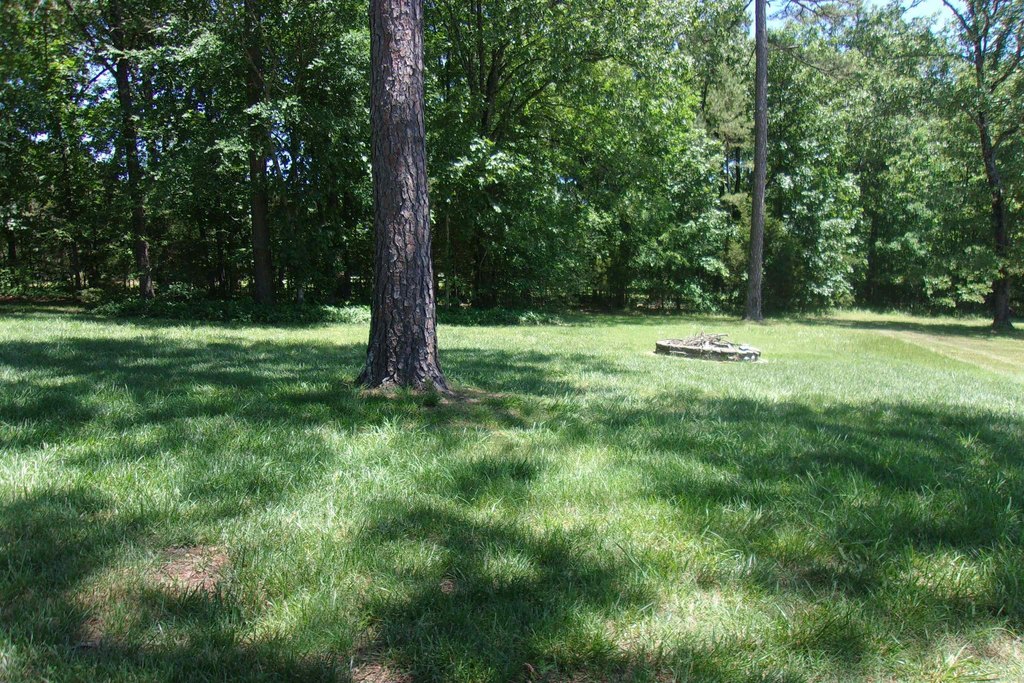 Picture 4