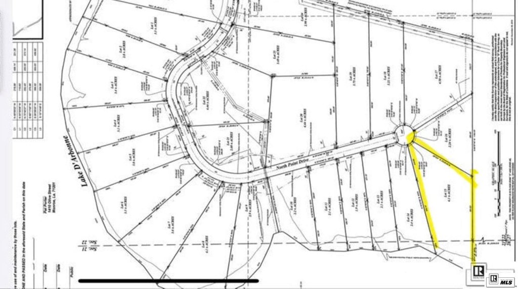 Picture 5