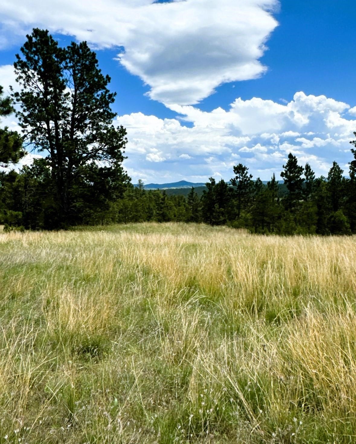 Hulett Ranch with Riding Arena