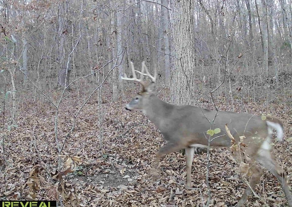 Picture 5