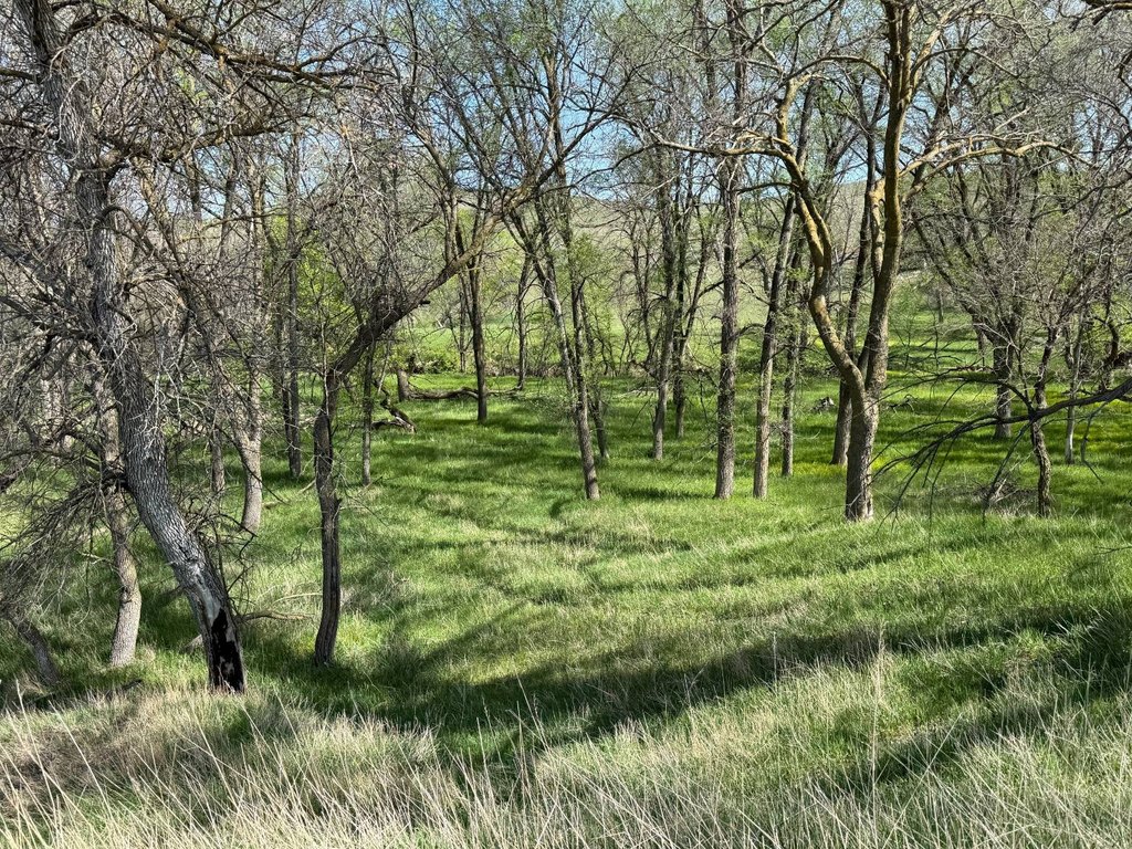Picture 22