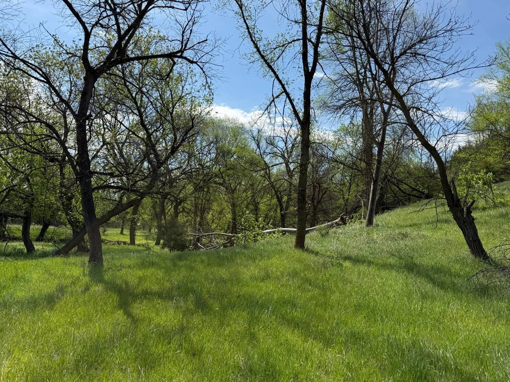 Picture 27
