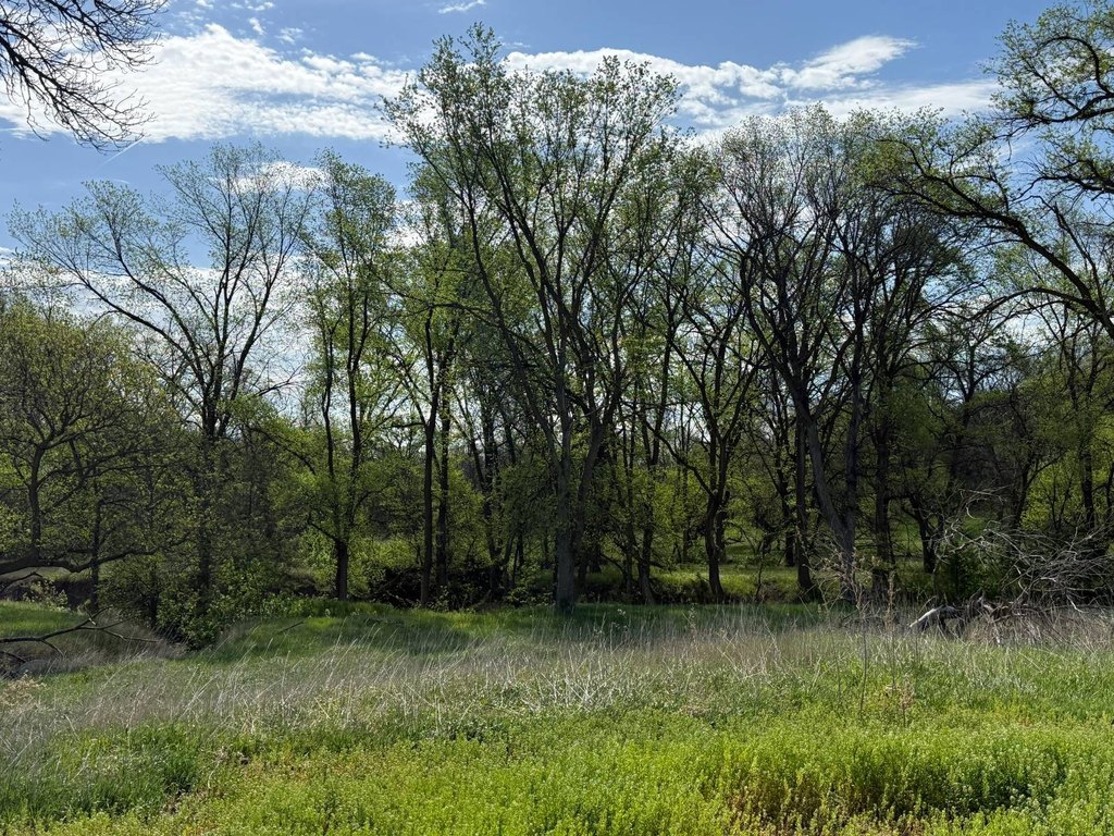 Picture 23