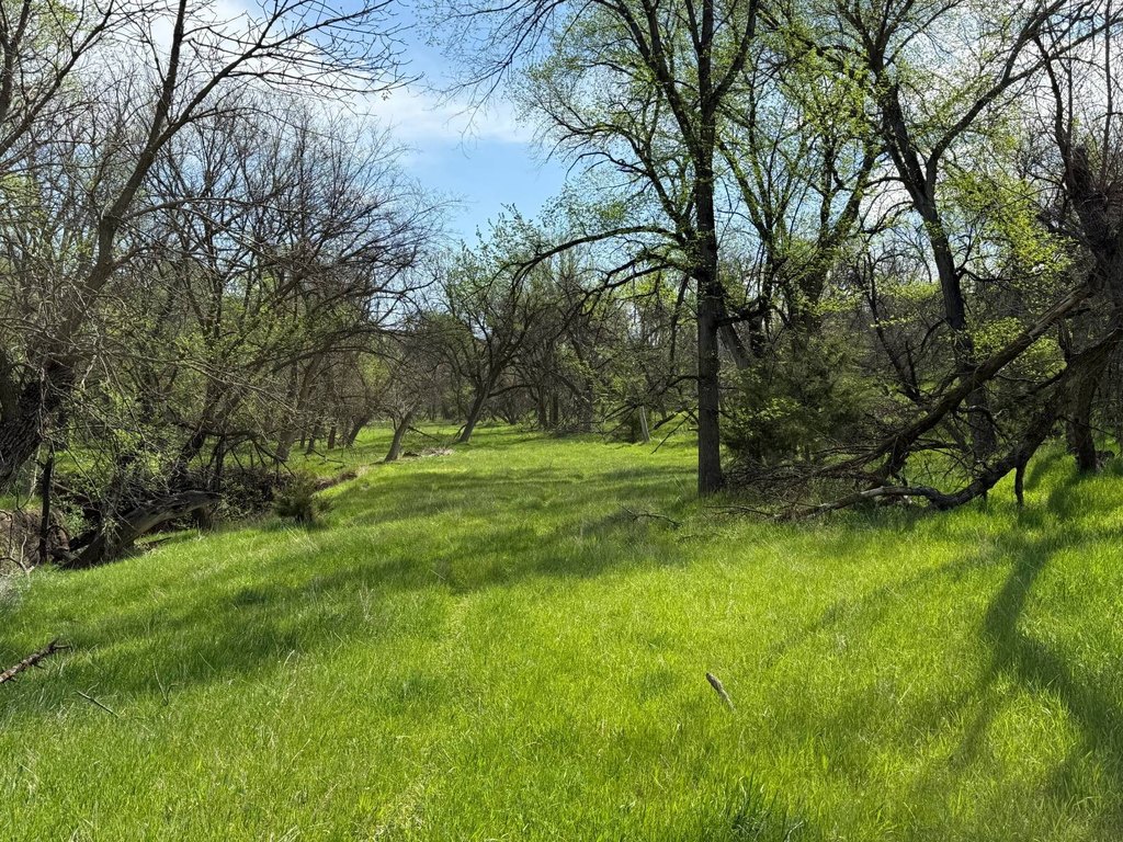Picture 25