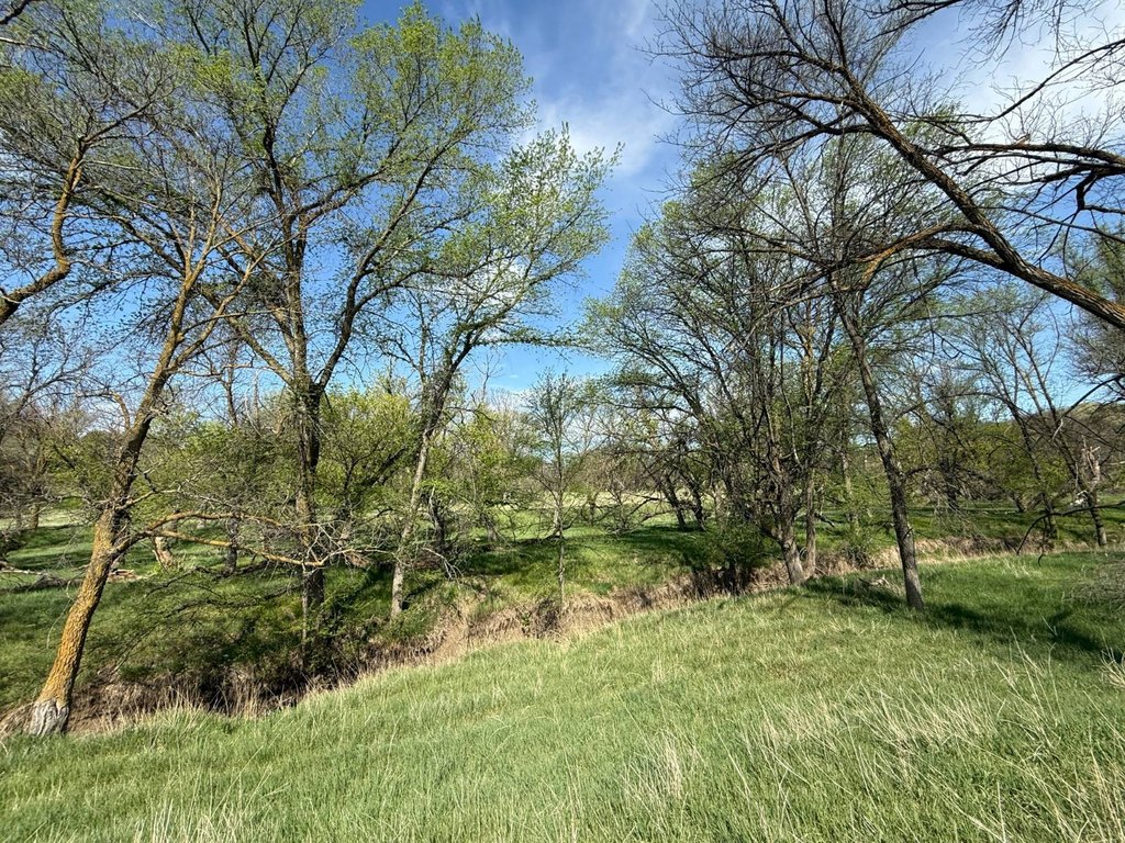 Picture 21