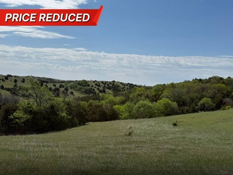 Rolling Pasture and Timber Tract