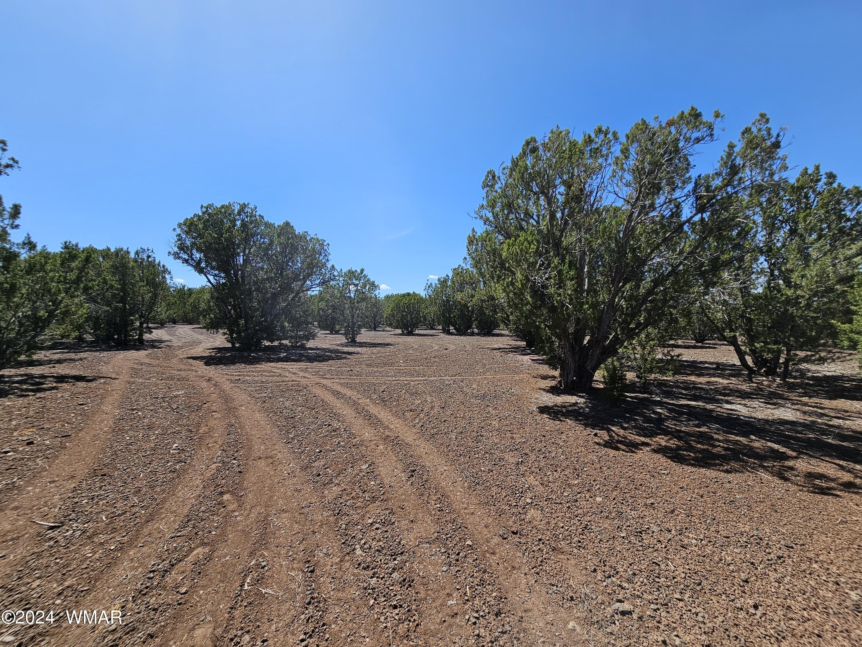 Land in Show Low, Arizona