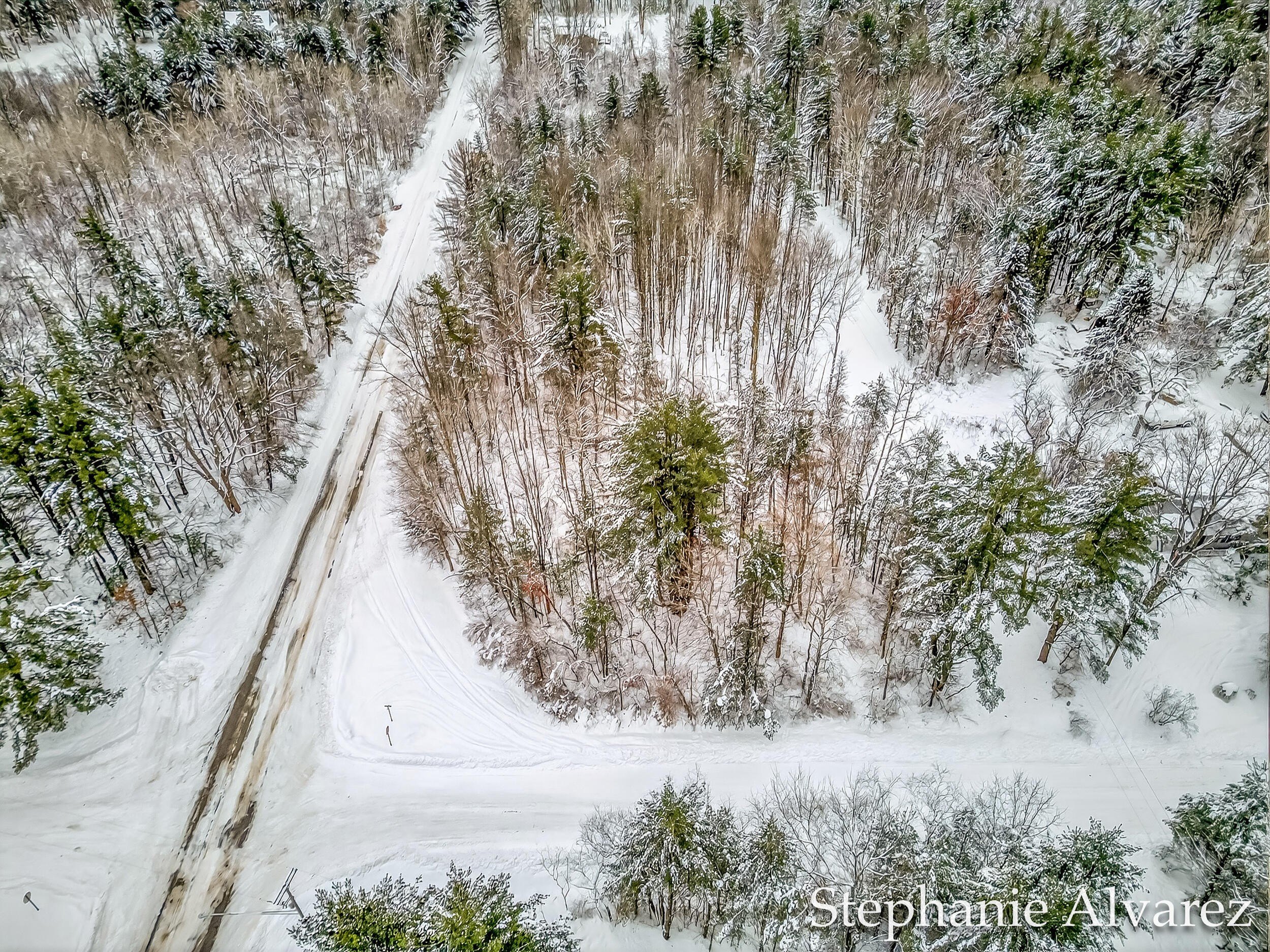Wooded Corner Lot in Whitehall