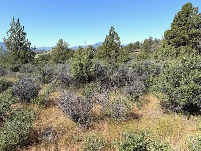 Hornbrook Land in Iron Gate