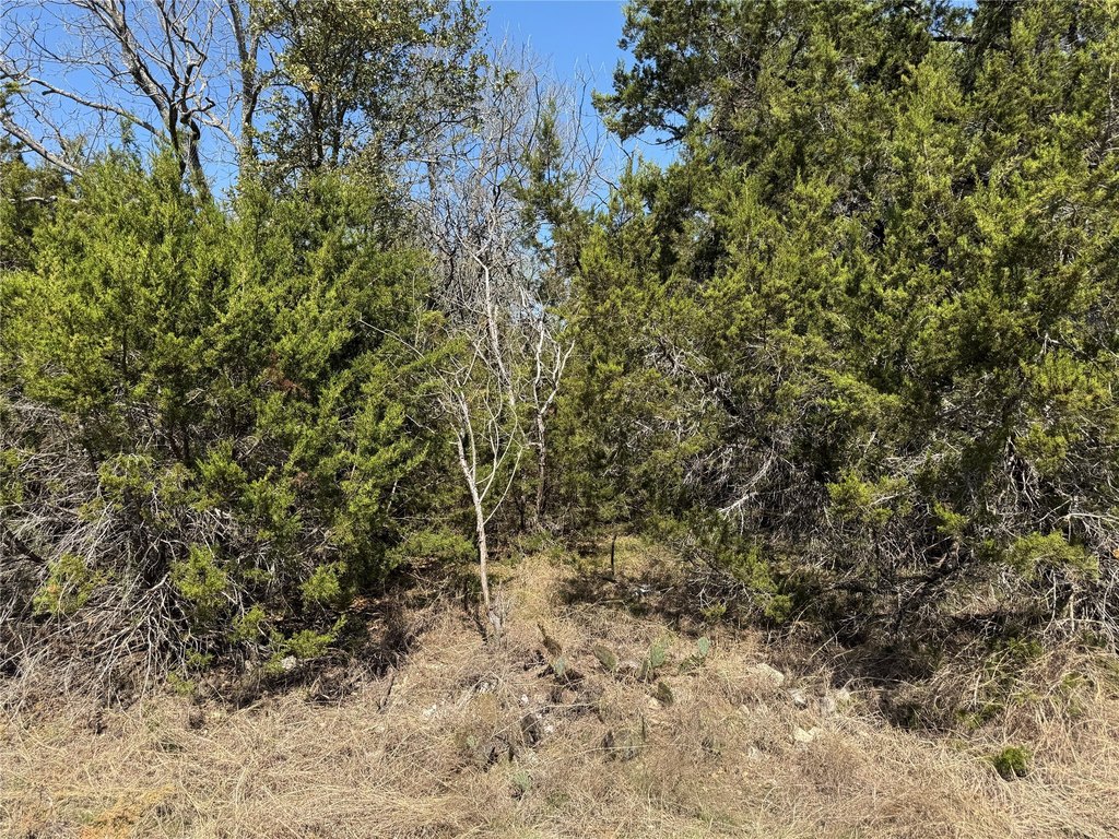 Picture 4