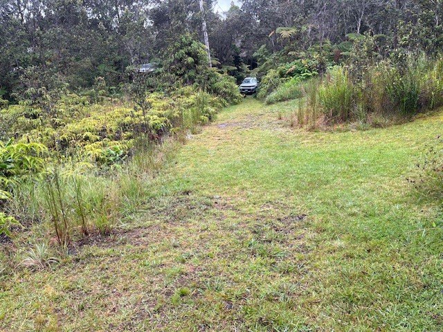 Picture 3