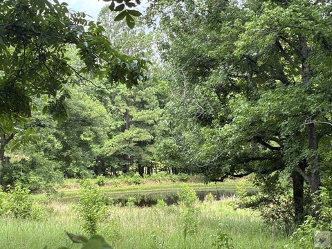 Texarkana, AR