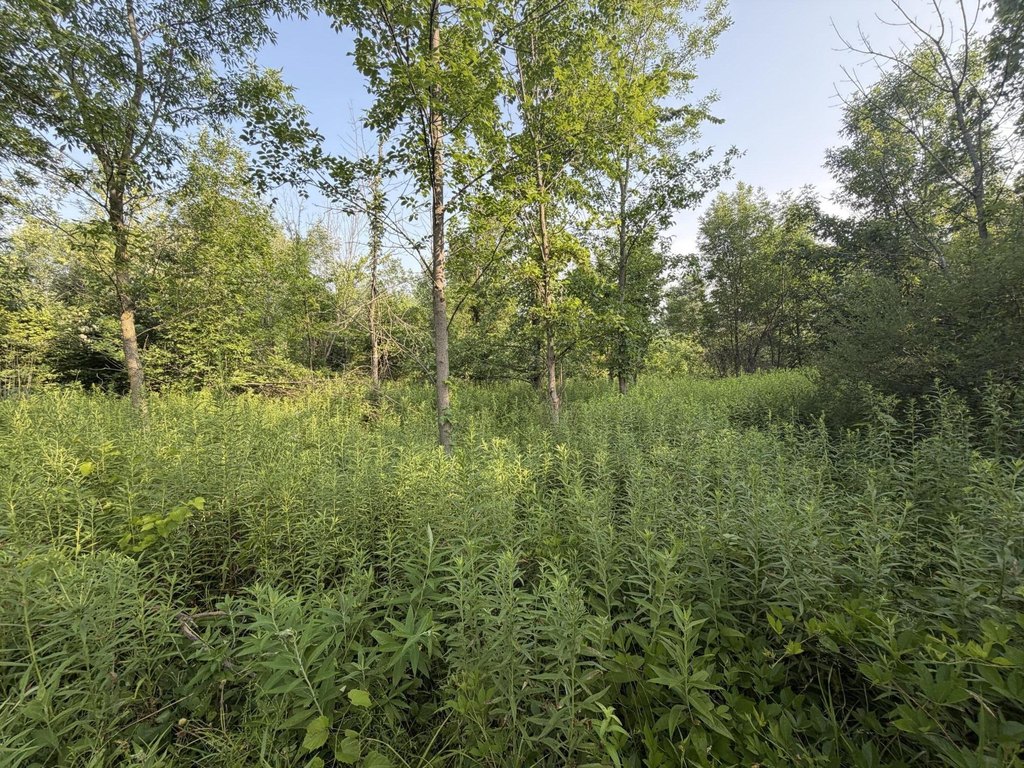 Picture 18