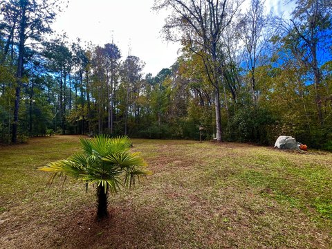 Edisto Island Land with Pond