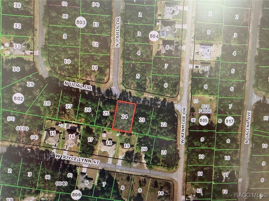 Citrus Springs Land For Sale