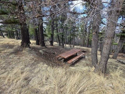Forested Land in Westcliffe, CO