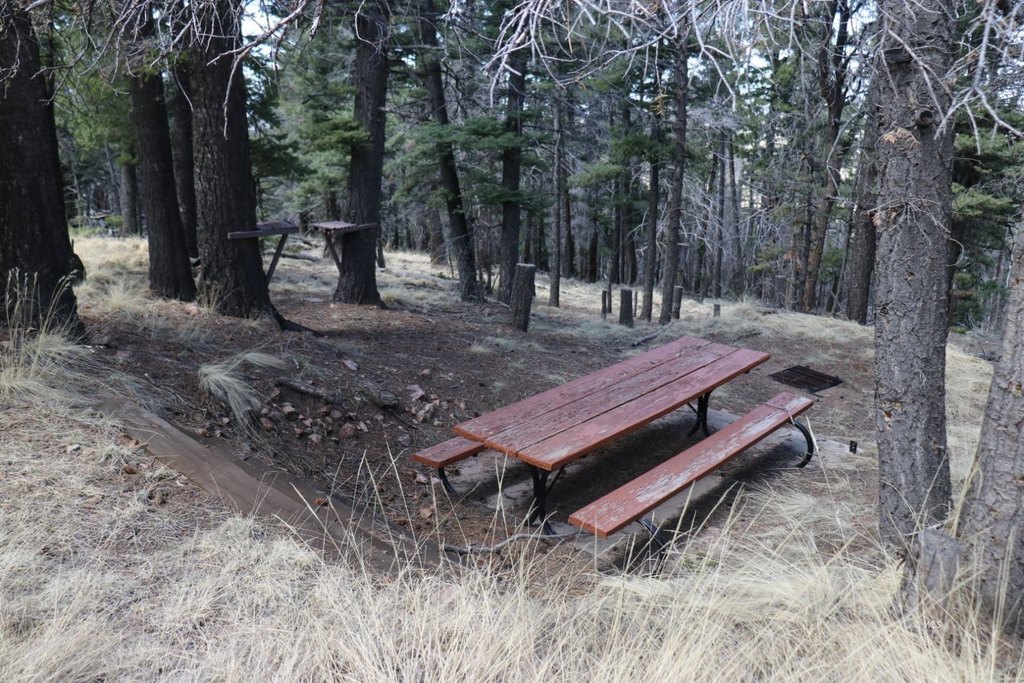 Picture 13