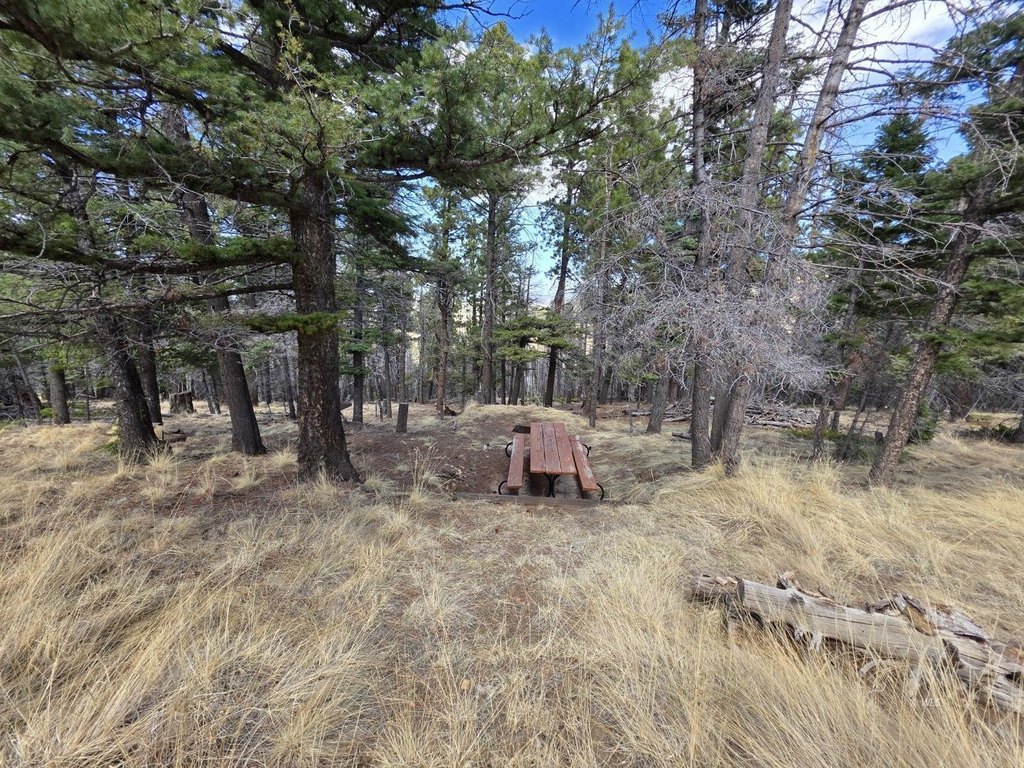 Picture 11