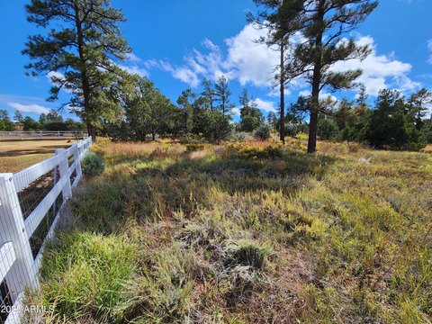 Commercial Land on Highway 260