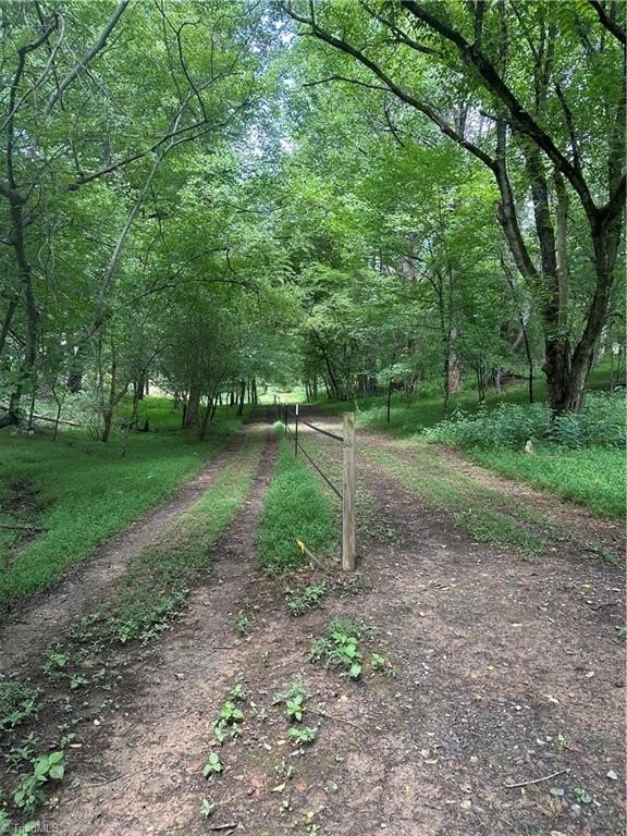 Picture 14
