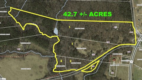 Prime Greer Development Opportunity