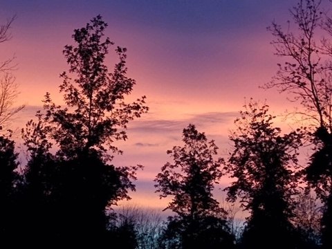 Brockport Land for Sale