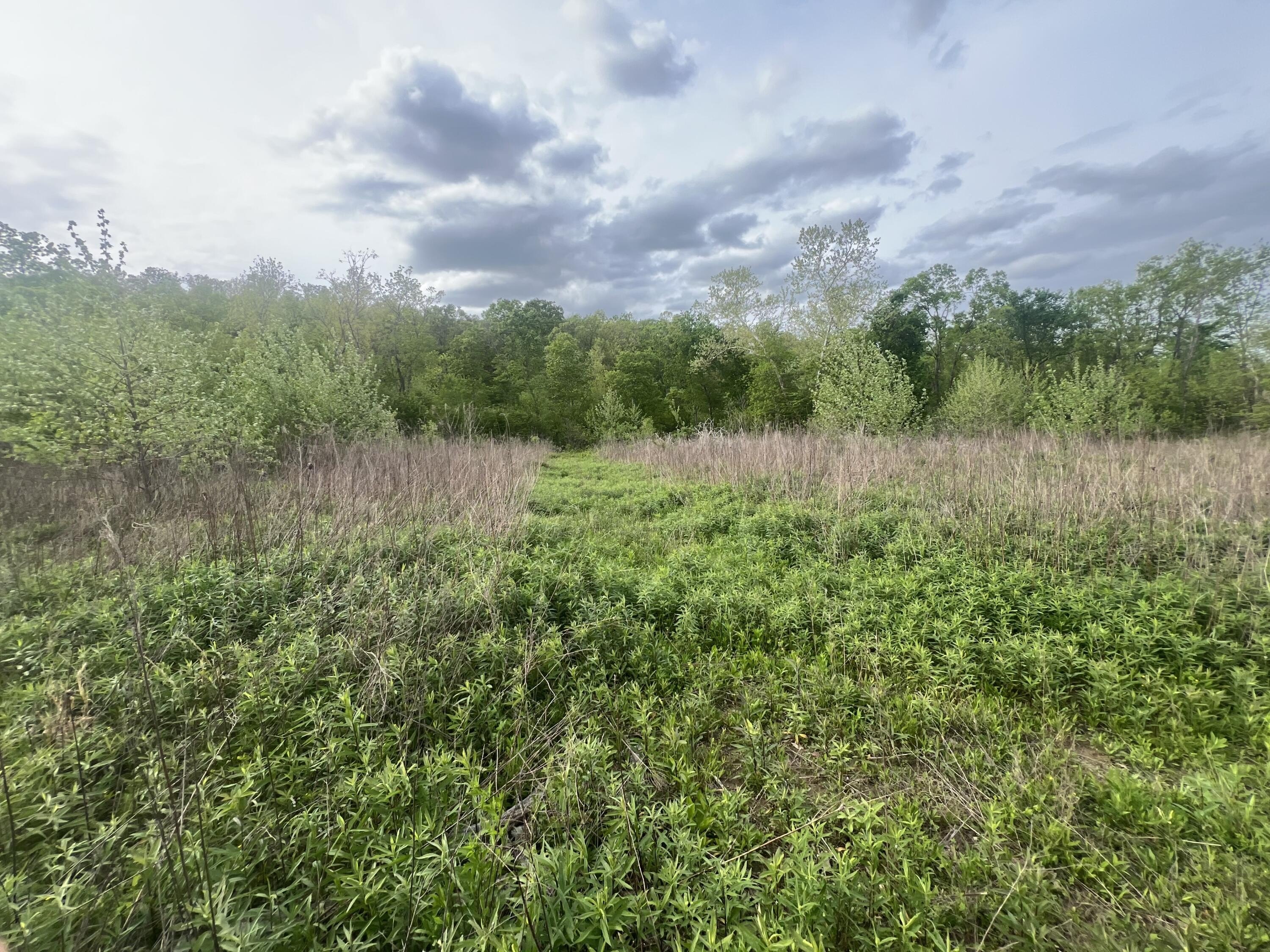 7 Acres Near Seymour