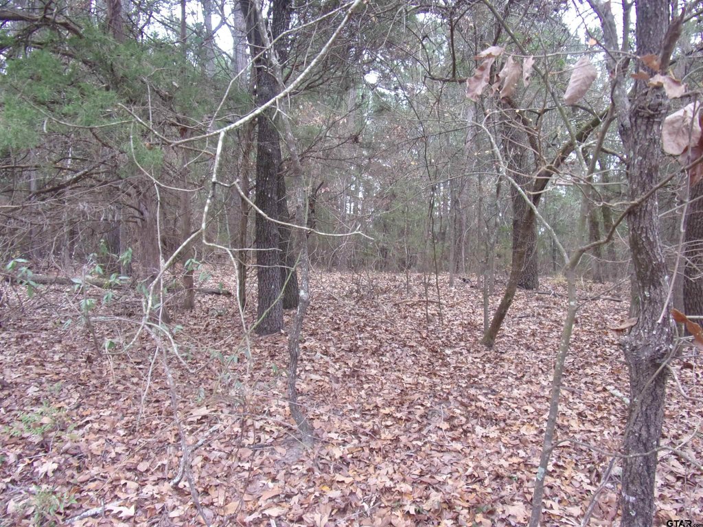 Picture 7