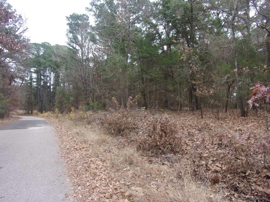 Picture 6