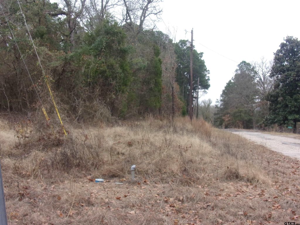 Picture 2