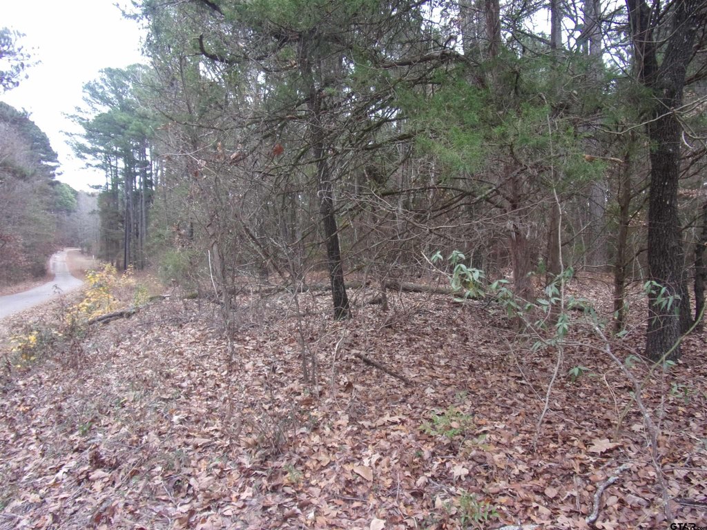Picture 8