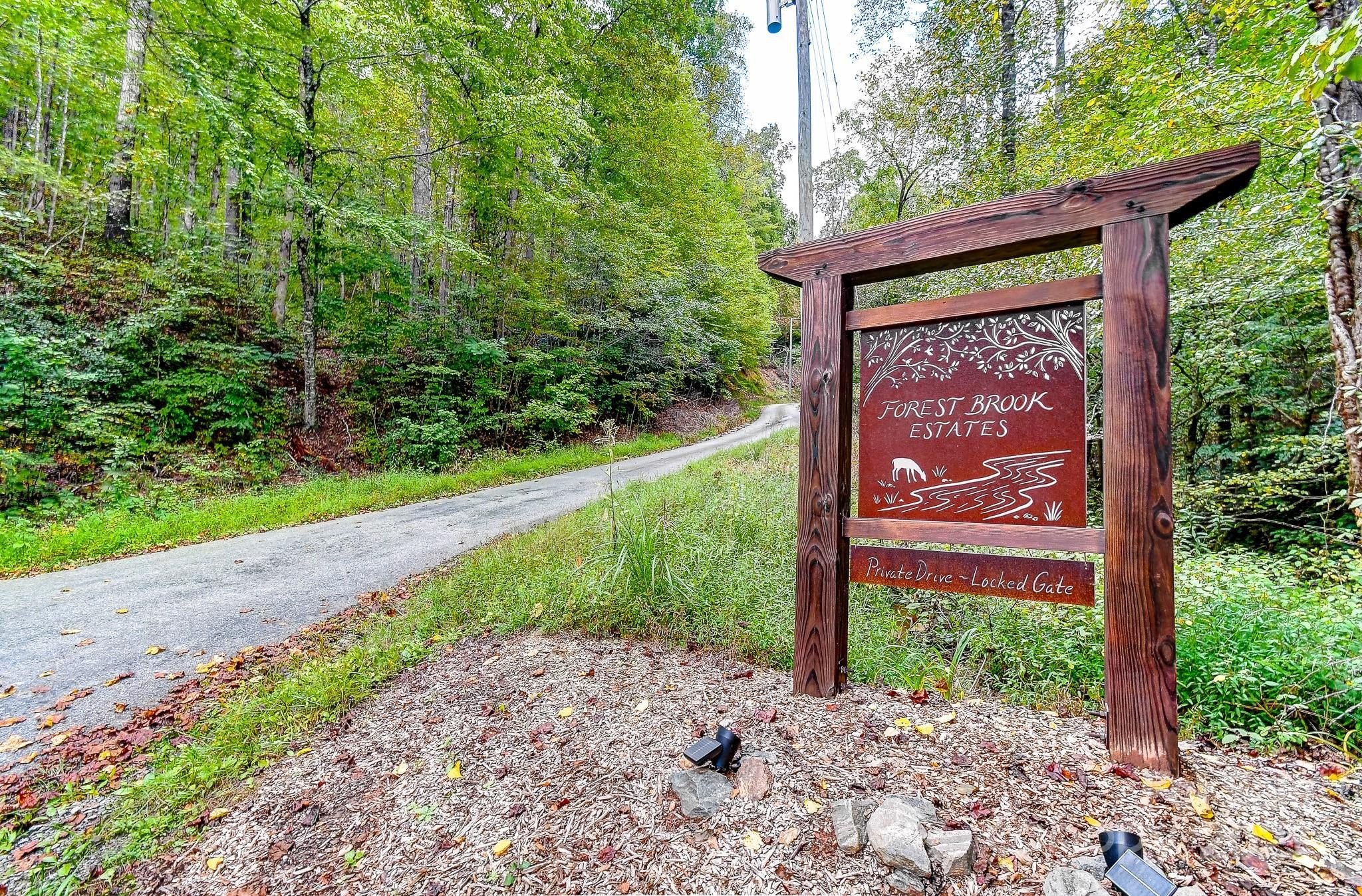 Black Mountain Acreage with Potential