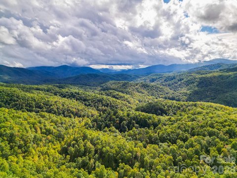 Black Mountain Acreage with Potential