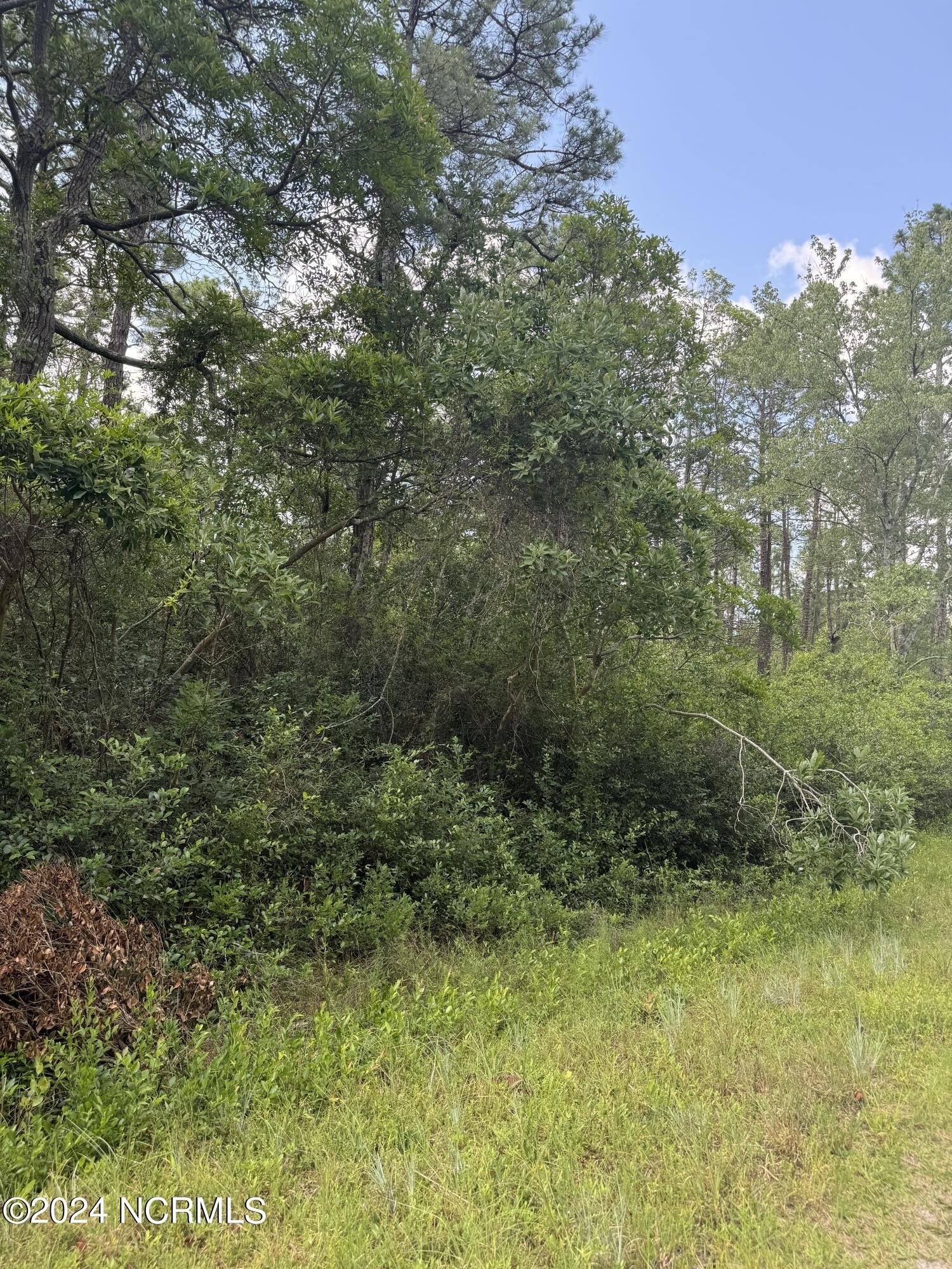 Residential Lot in Growing Area