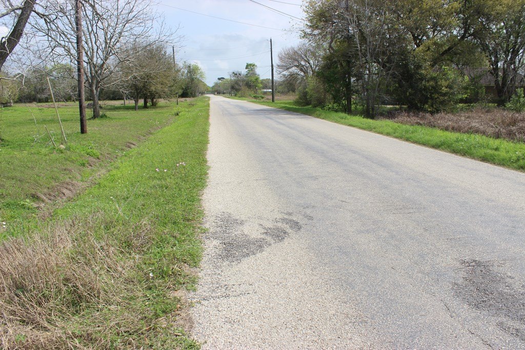Picture 8
