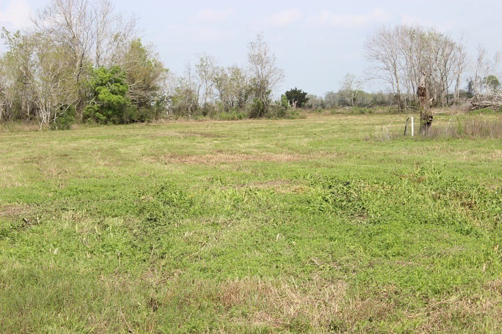 Picture 7
