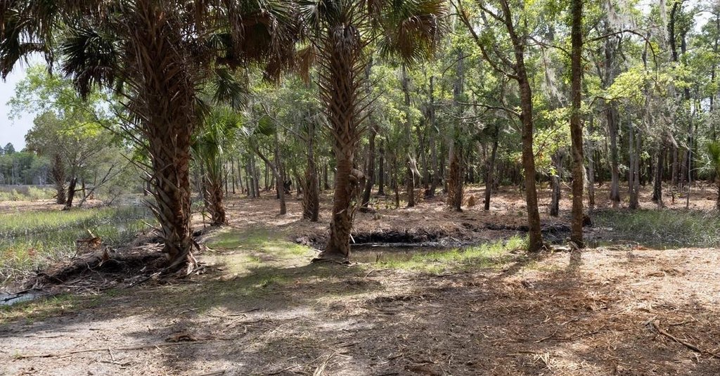 Picture 36