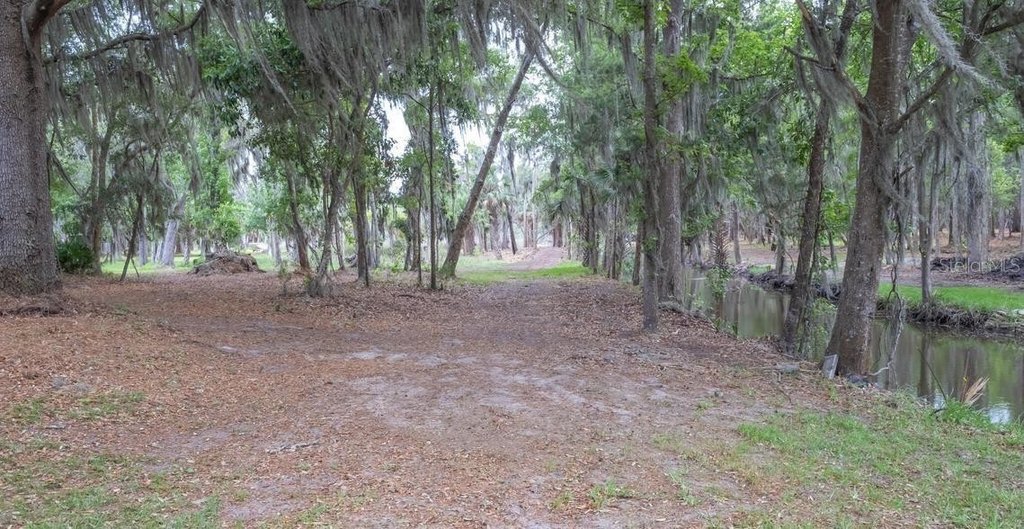 Picture 51