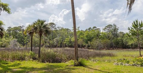 Marsh-Front Buildable Farmland