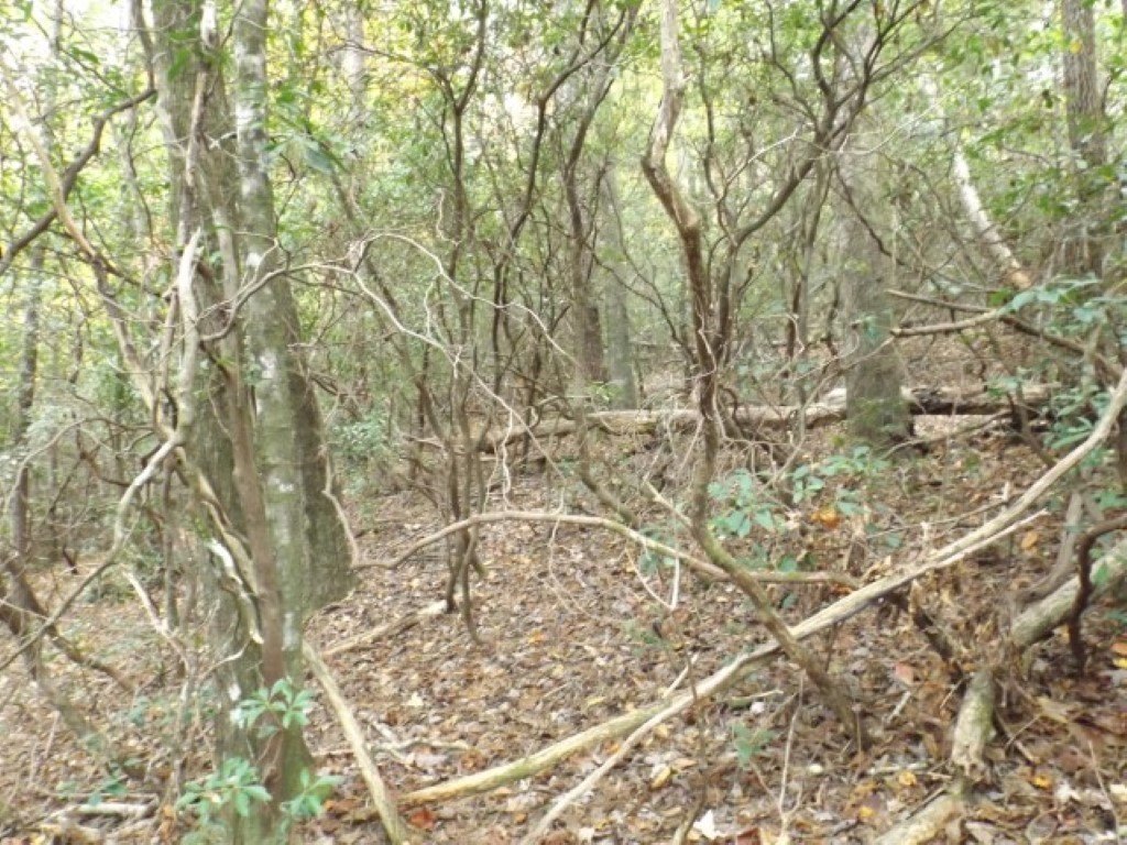Picture 7