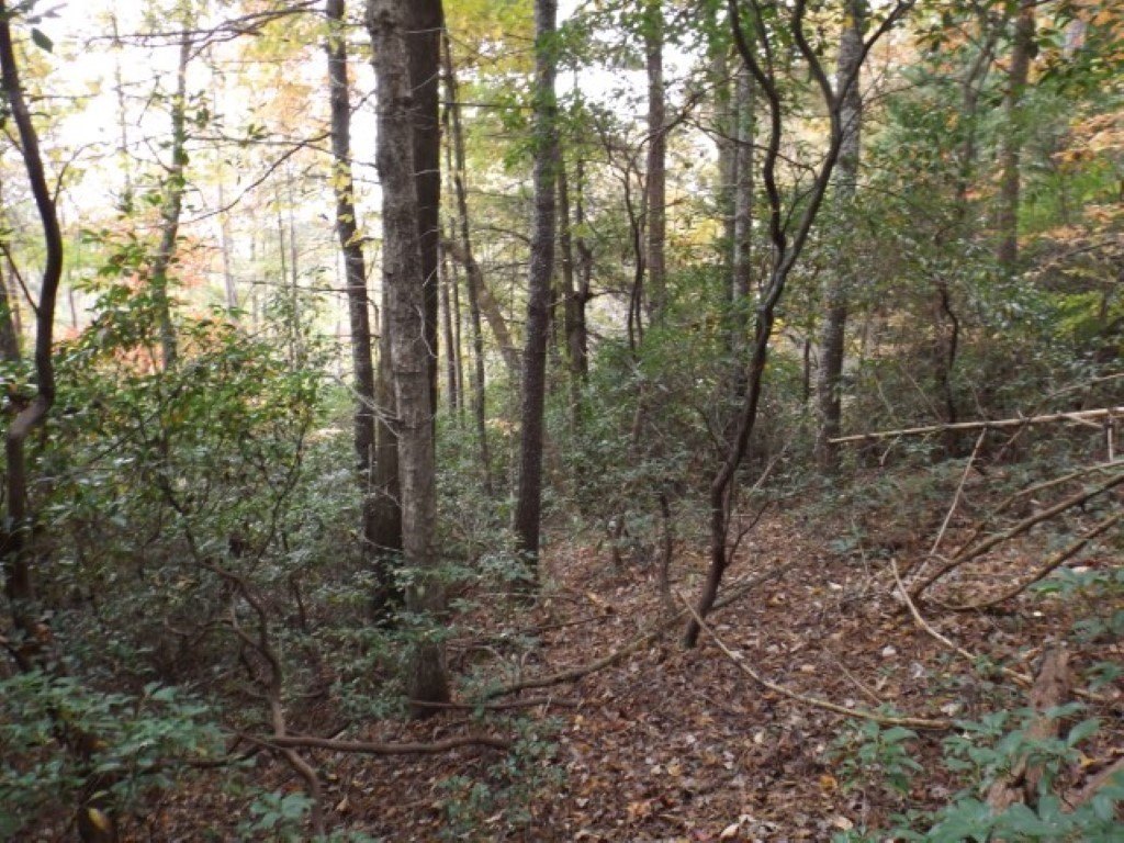 Picture 10